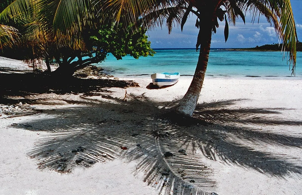 Palm trees casting shadows on white sand beside a small boat and shallow turquoise water