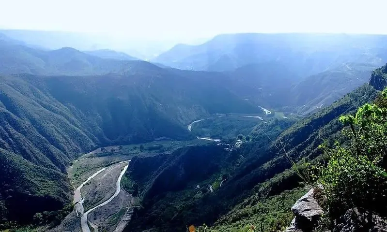 Cactus landscape in the Metztitlán biosphere reserve