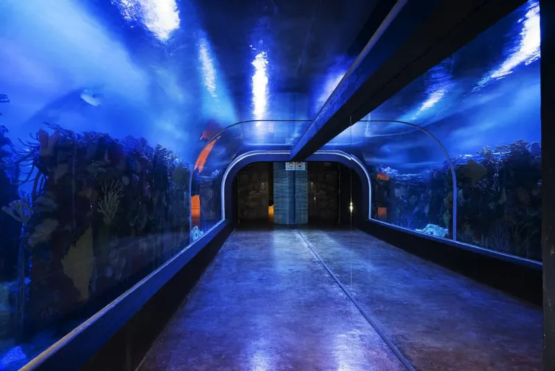 Playa del Carmen Aquarium on Plaza Corazón on 5th Avenue — interactive marine exhibit with 3 levels including a reef section