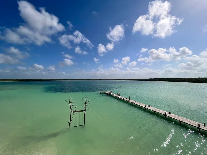 Wooden dock crossing shallow turquoise water beside mangrove shoreline