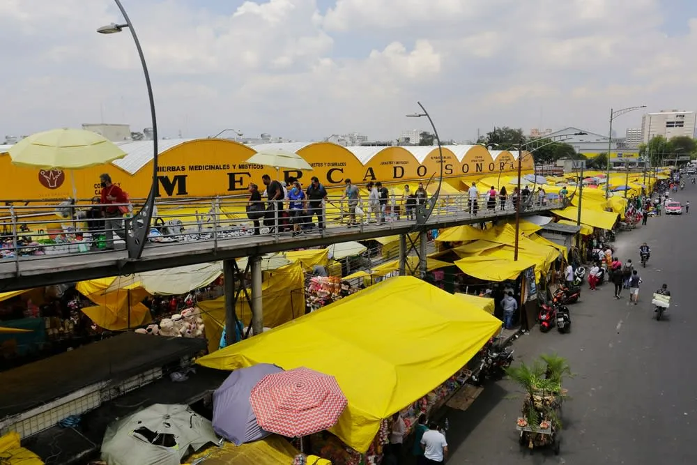 Herbal remedies and market stalls at Mercado de Sonora