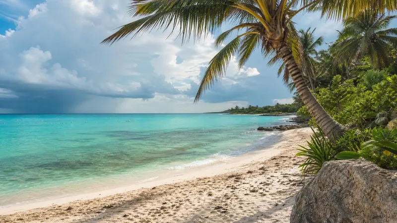 Akumal Bay in August with turquoise water, palms, white sand, and humid Riviera Maya summer weather