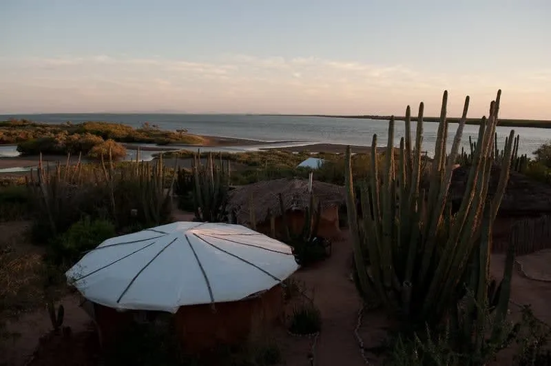 alamos sonora mexico