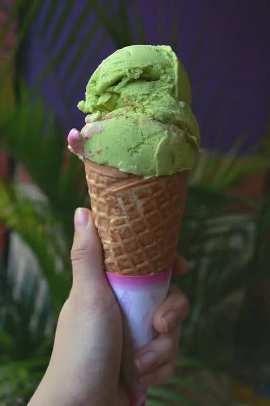 Handmade ice cream counter at Ximitl in Atlixco