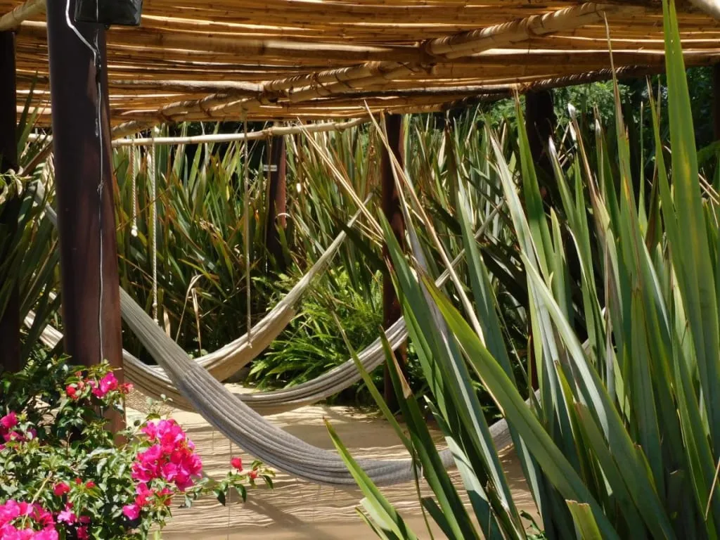Luna Canela hotel garden terrace in Atlixco