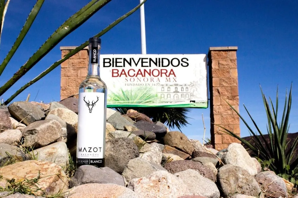 Sonoran agave spirit bottle and tasting glass ready for serving