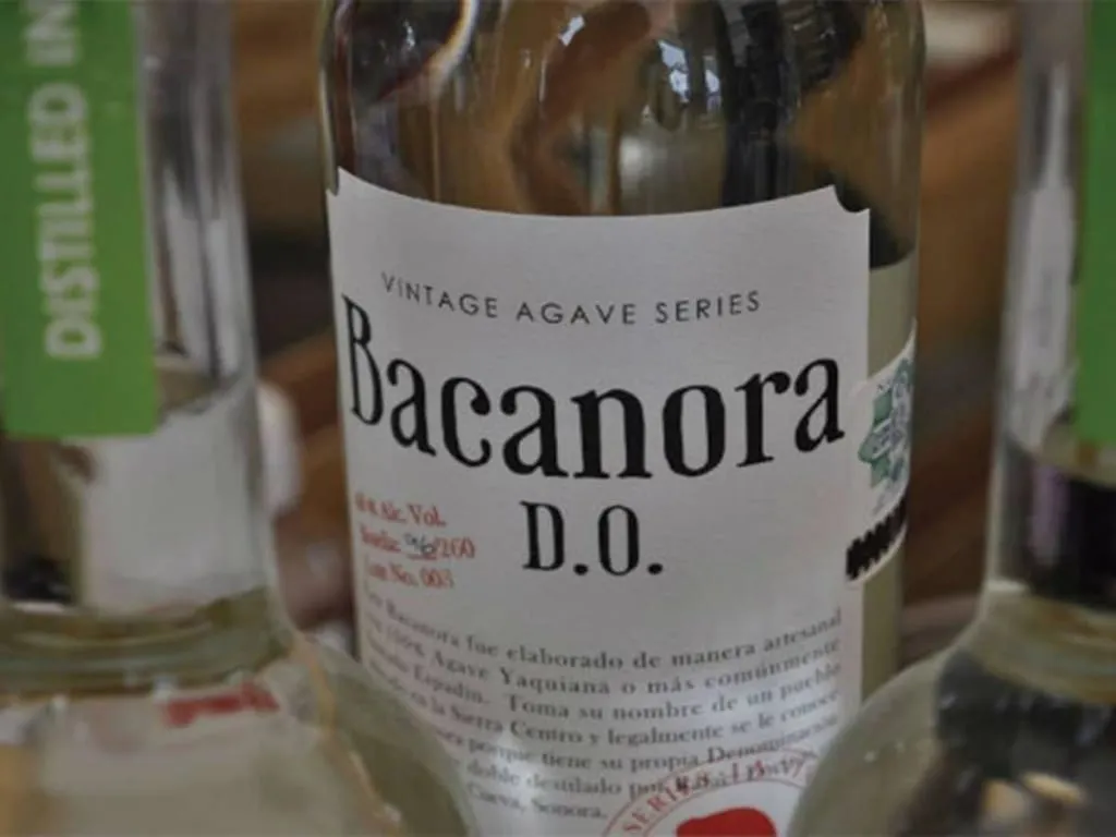 Clear bacanora bottles displayed beside desert agave in Sonora