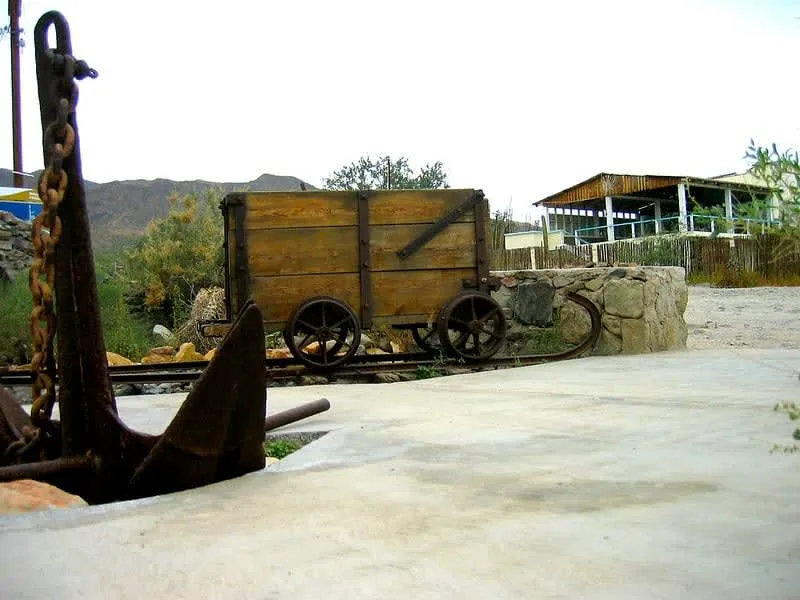 Museum display about Baja wildlife and local history in Bahia de Los Angeles