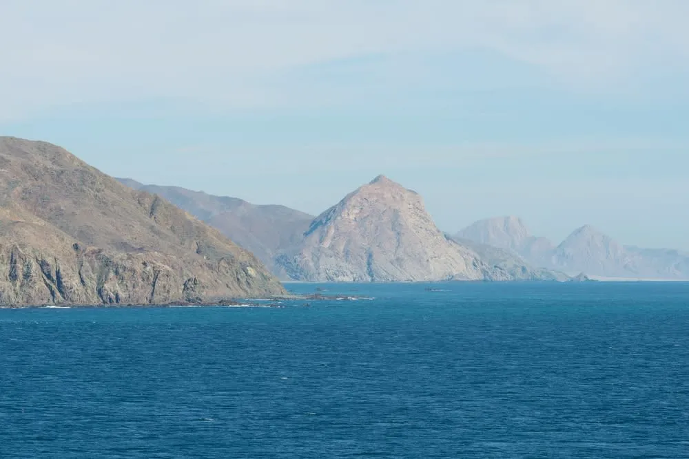 Mangroves and protected Pacific water in Magdalena Bay