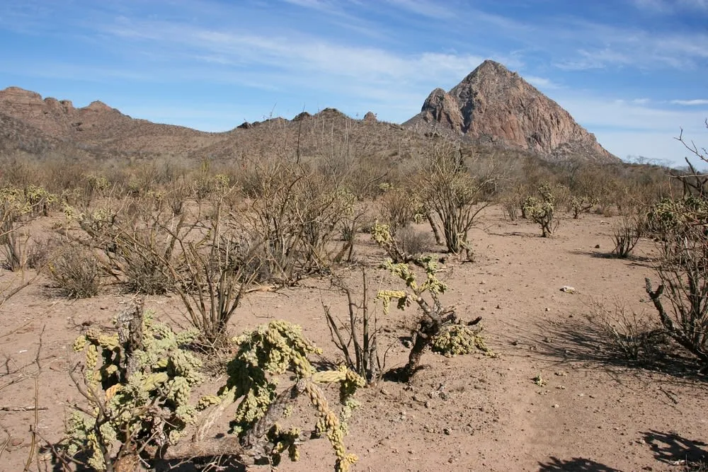 Rocky Sierra de la Giganta ridges above the Baja desert