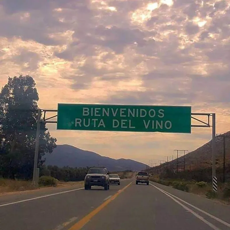 Baja California wine and food scene — Tijuana is a gateway to the Valle de Guadalupe wine region