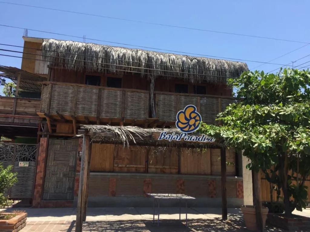 Yellow guesthouse courtyard with a small swimming pool and palm tree