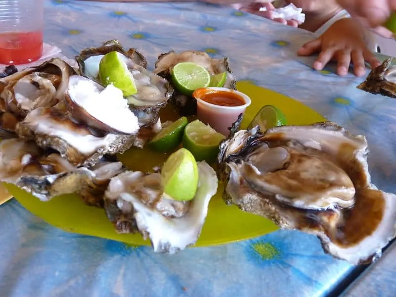 Fresh mariscos at a Barra de Navidad palapa restaurant — whole grilled fish and ceviche on the Jalisco Pacific coast