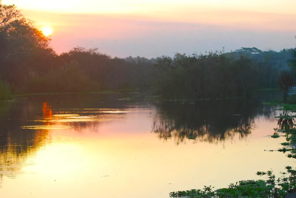 Lagoon of Navidad behind Barra de Navidad — mangrove-lined estuary where water taxis ferry guests to Isla Navidad