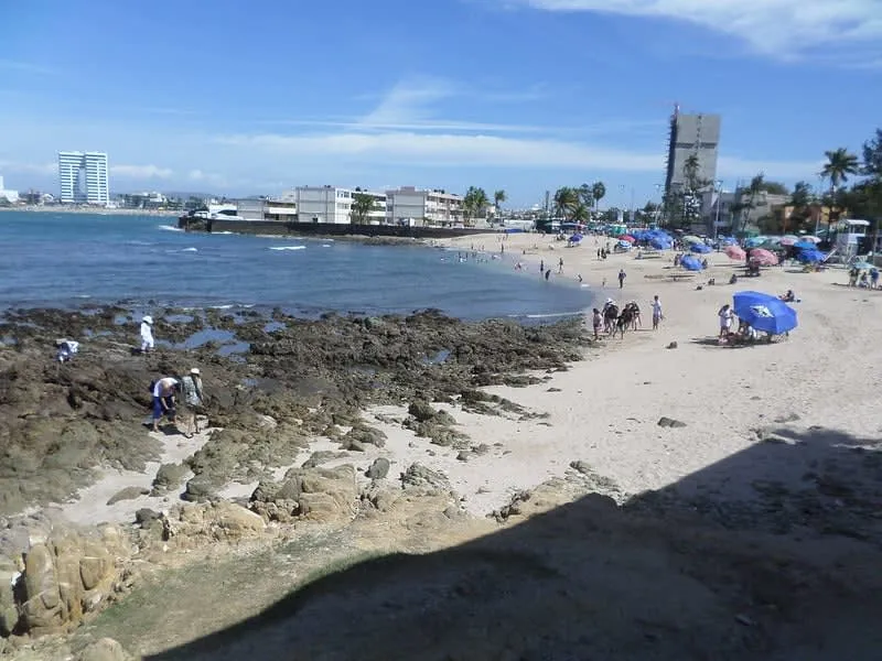 Los Pinitos Beach in Mazatlan with surf near the Marine Sciences campus
