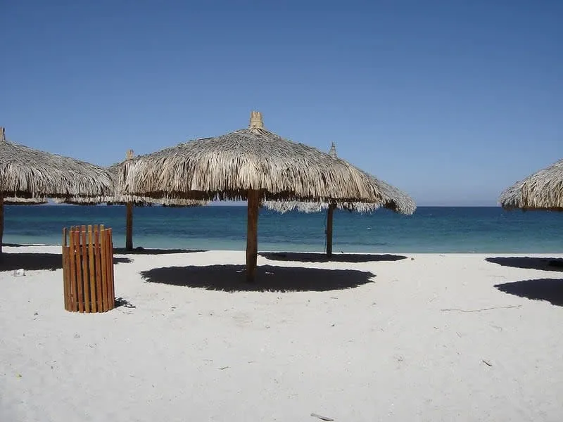 Thatched beach umbrellas on a white sandy shore with calm blue water