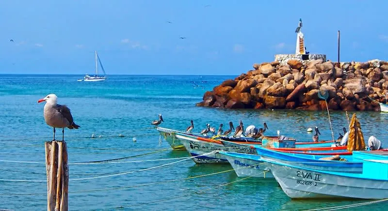 Banderas Bay coastline where sport fishing boats head out from Nayarit