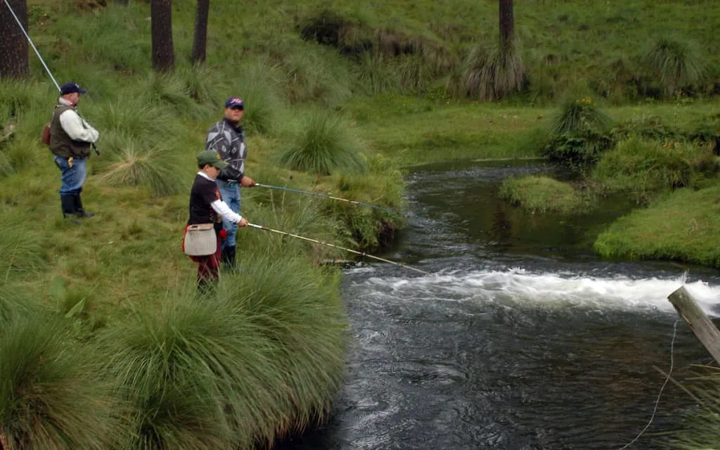 Corral de Piedra lake in Amanalco with wooded banks for summer fishing
