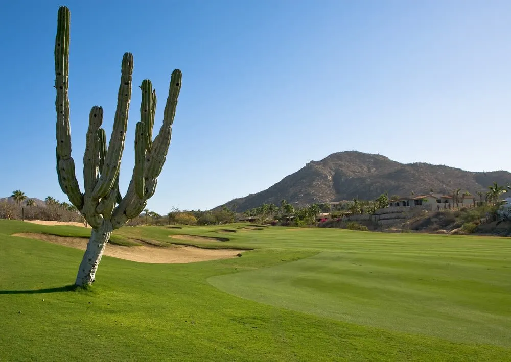 best golf courses in mexico