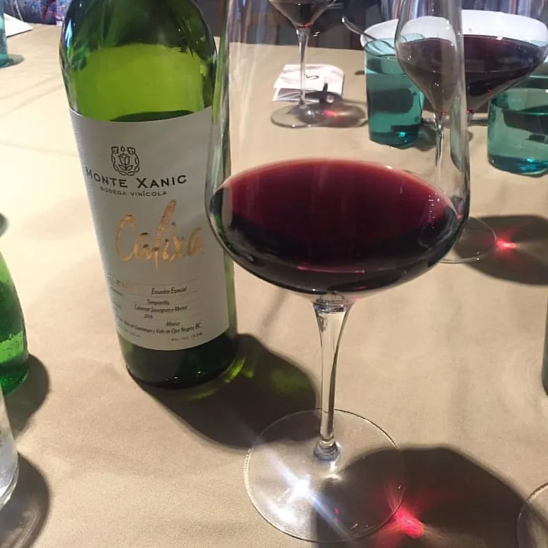 Red wine glass beside wine bottle on table