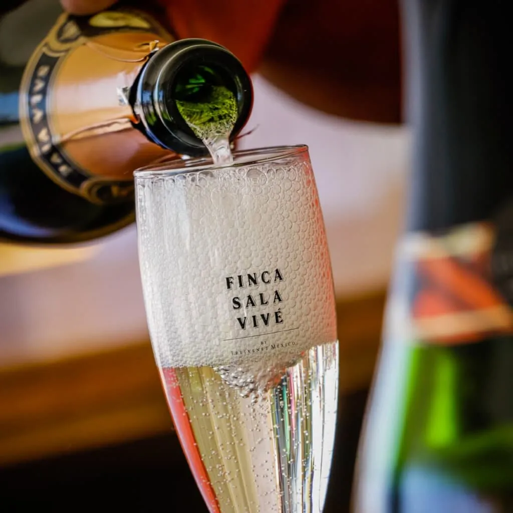 Sparkling wine being poured into a flute