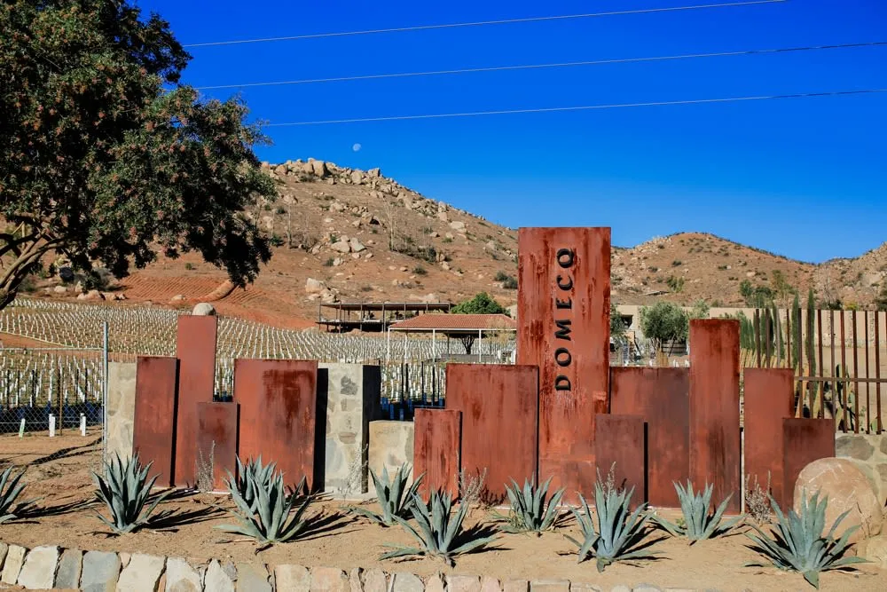 Vinos Domecq winery in Valle de Guadalupe — one of Mexico's oldest commercial wine producers
