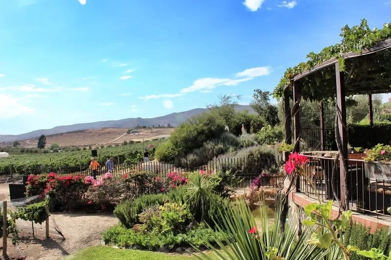 Las Nubes winery in Valle de Guadalupe with modern architecture and sweeping vineyard views toward the Pacific