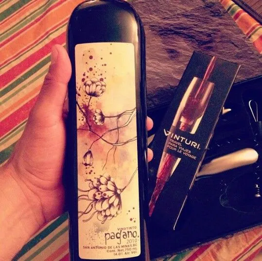 Valle de Guadalupe valley landscape with vineyards, olive trees, and rugged Baja California hills