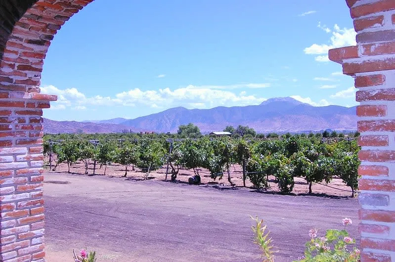 Adobe Guadalupe winery and boutique hotel in Valle de Guadalupe with rustic stone architecture and vineyard views