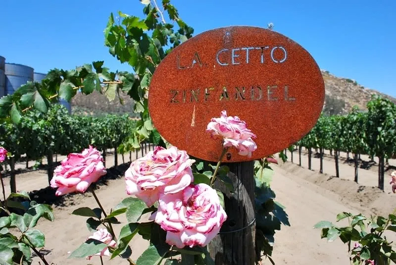 L.A. Cetto winery in Valle de Guadalupe — large terracotta buildings and barrel-aging caves in Baja California wine country