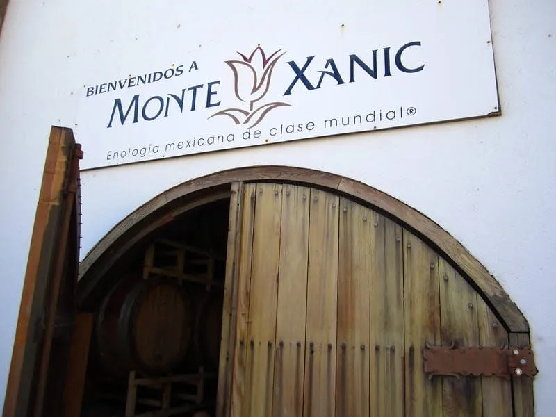 Monte Xanic winery barrels and tasting room in Valle de Guadalupe Baja California Mexico