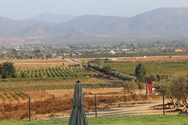 Baron Balché winery tasting room with wooden barrels and rustic Baja California wine country setting