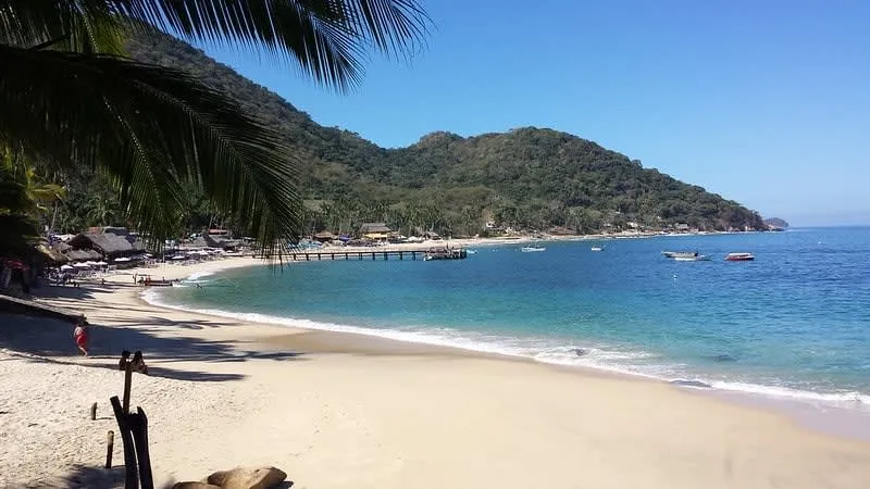 Wide sandy Las Animas Beach with calm water and beach umbrellas