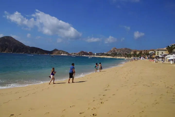 Best Time to Visit Los Cabos: Weather, Whales, and Prices (2026)