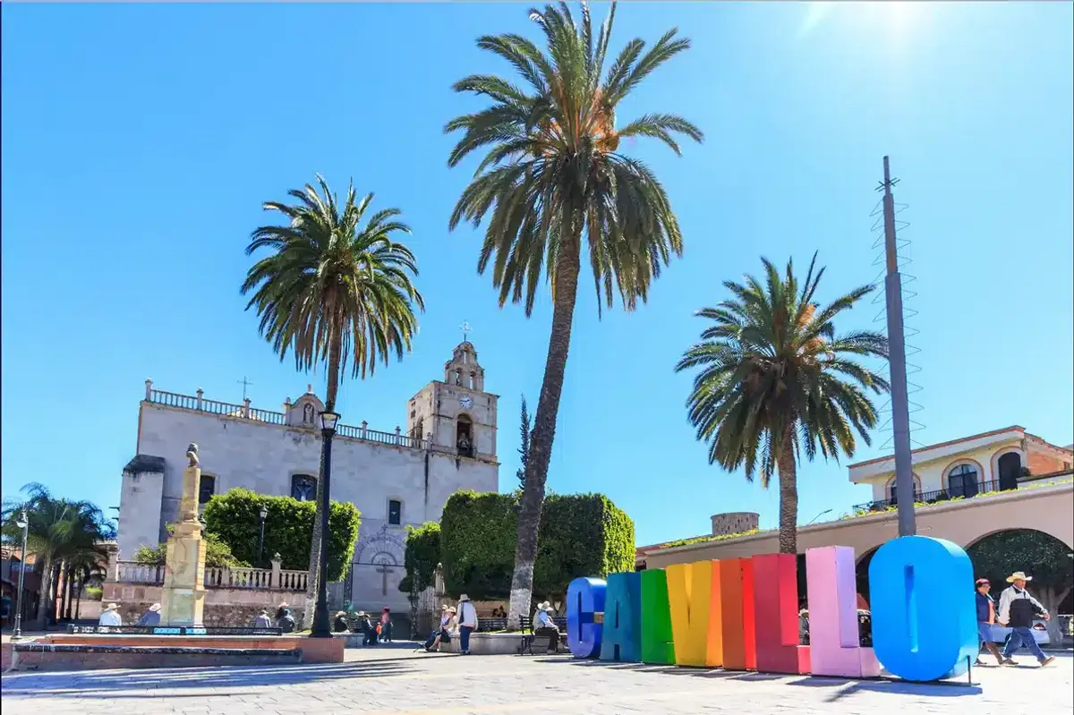 Calvillo Aguascalientes: Home of the Best Guava in the World