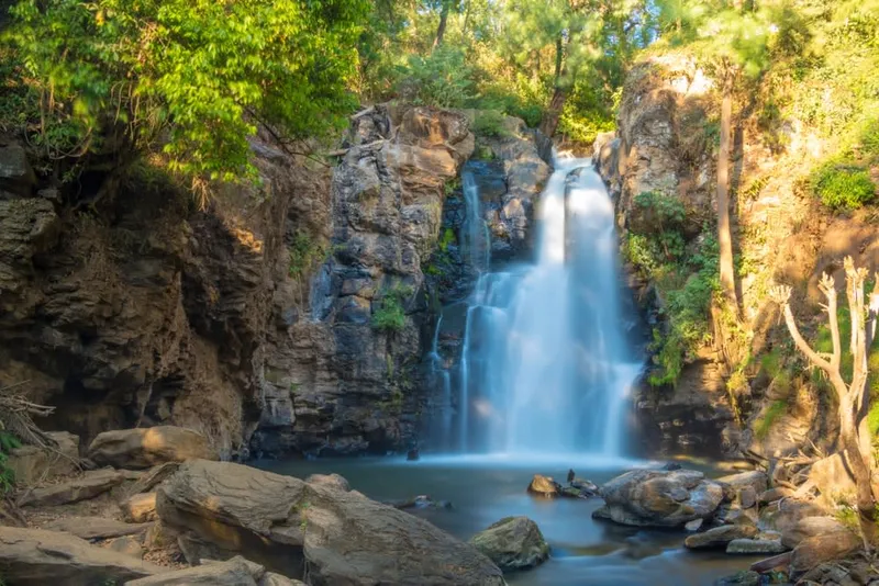 Velo de Novia waterfall surrounded by pine forest in Avándaro
