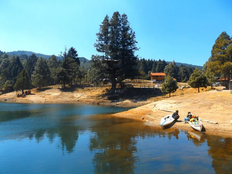 Dense forest canopy in a mountain nature reserve