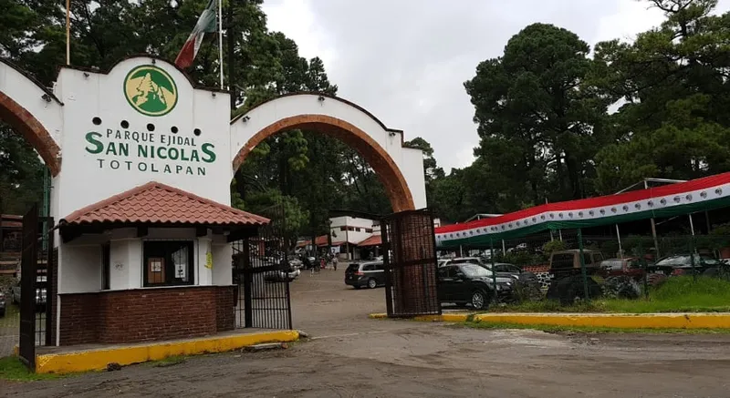 Pine forest and camping area in San Nicolás Totolapan nature reserve, Mexico City