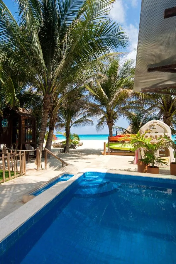 flamingo beach resort