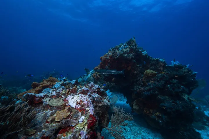 Cancun in December 2026: Weather, Christmas, New Year's & What to Expect