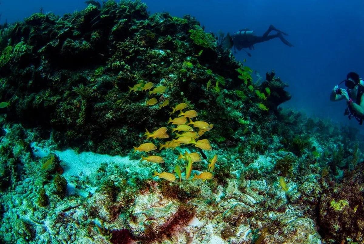 Tourists snorkeling safely in Cancun's coral reef waters