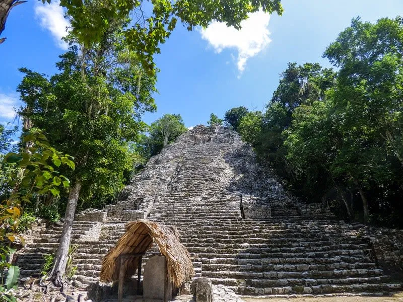 Stone jungle pyramid rising above dense green trees