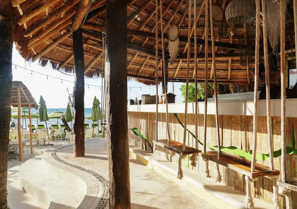Playa del Carmen beach club with loungers facing the Caribbean, surrounded by palm trees