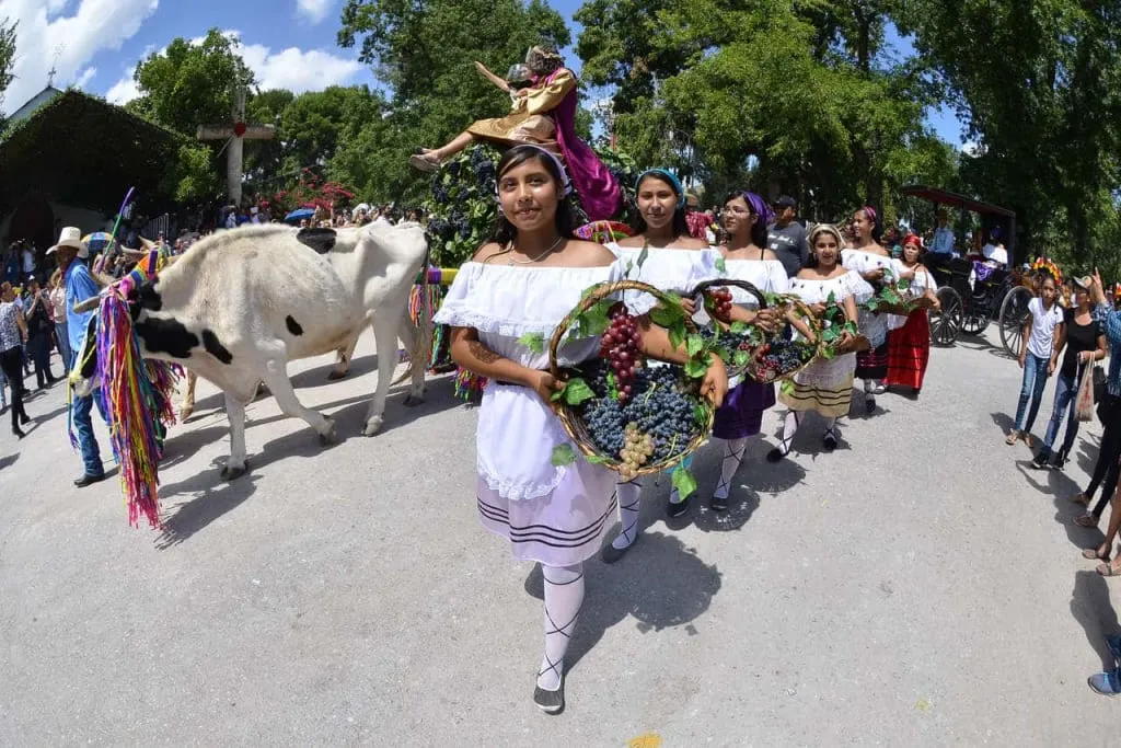 Grape and Wine Festival celebration at Casa Madero