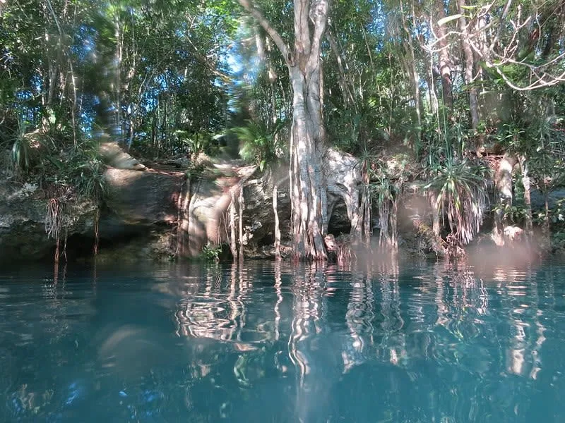 Cenote Angelita near Tulum with hydrogen sulfide cloud visible underwater