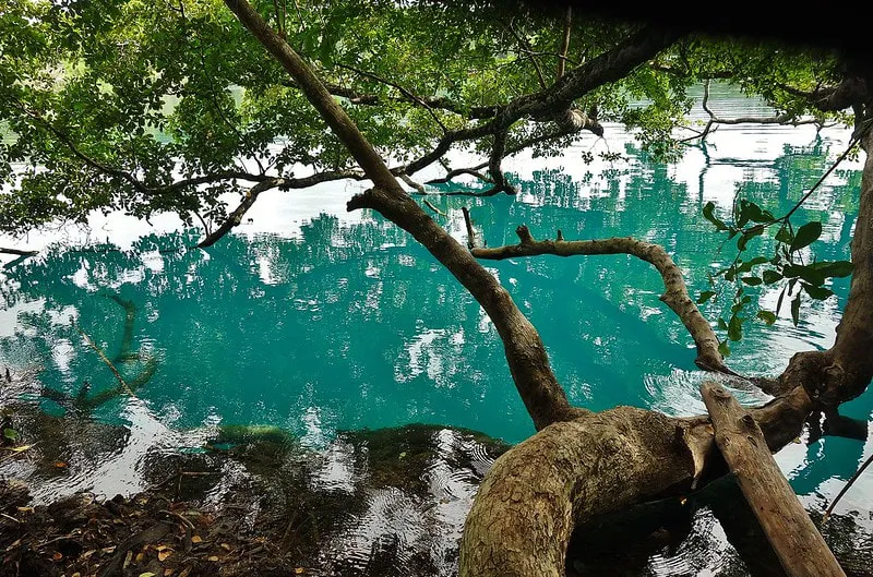 Cenote near Valladolid Yucatan Mexico with turquoise water surrounded by hacienda ruins and tropical vegetation
