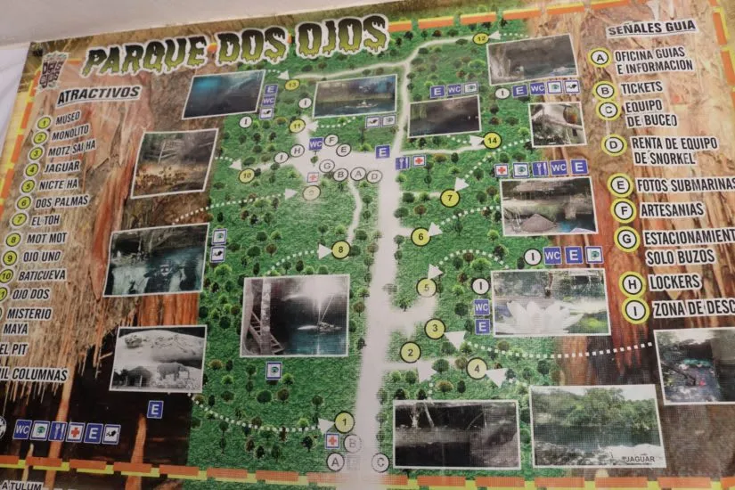 two eyes cenote - Cenote Dos Ojos Tulum