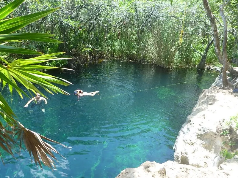 Cenote Escondido near Tulum — natural pool surrounded by jungle with wooden platforms
