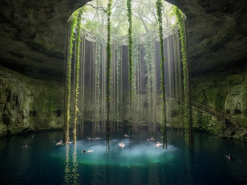 Cenote Ik Kil near Chichen Itza with dramatic hanging vines cascading down the circular 26-meter opening, swimmers visible below