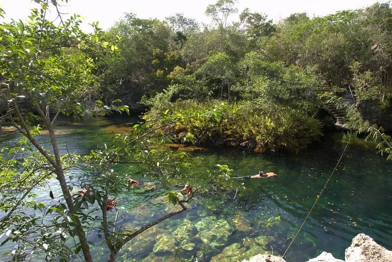 Ponderosa cenote near Puerto Morelos — clear open water with multicoloured fish and jungle surroundings